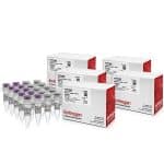 PCR Reagents and Enzymes