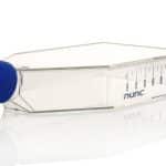 Nunc EasYFlask Cell Culture Flasks, Nunclon Delta or Nunclon Supra surface treatment