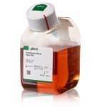 Fetal bovine serum (FBS)