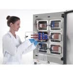 Forma™ Steri-Cycle™CO2 Incubator with Cell Locker™ System