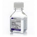 Extracellular Matrices