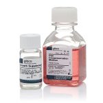 Gibco Cryopreservation Media