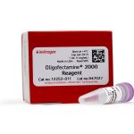 Oligofectamine Reagent 1 ml