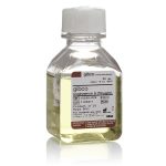Gibco™ Amphotericin B / 50ml