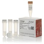 Sbclng  Eff Dh5@ Comp Cells 2.0ml (4 x 0.5ml)