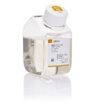 500 ml.DMEM ? F-12, no Phenol Red