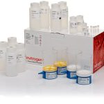 PureLink™ Expi Endotoxin-Free Giga Plasmid Purification Kit