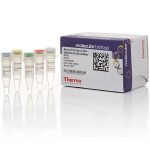 Maxima First Strand cDNA Synthesis Kit for RT-qPCR, with ds