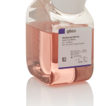 Keratinocyte - (Media Only) 500ml   human origin