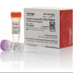 Lipofectamine™ CRISPRMAX™ Cas9 Transfection Reagent / 75rxn