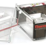 Owl™ D2 Wide-Gel Electrophoresis System Combs/Standard; 20