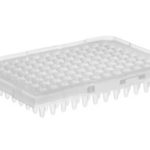 MicroAmp 96-well Rxn Plate - no barcode / 10 plates