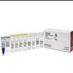Transcriptaid t7 transcrip kit/ 50 rxn
