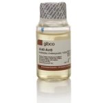 Antibiotic Antimycotic 20ml