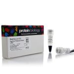 PageRuler™ Prestained Protein Ladder, 10to180 kDa /2 x250ul