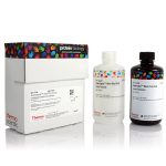SuperSignal WestPico PLUS Chemilumin Substrate/500ml
