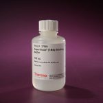 SuperBlock™ (TBS) Blocking Buffer/100 mL
