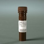 Haltprotease & phosphatase inhibitor cocktail edta-free/ 1