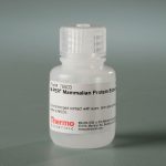 M-per  mammalian protein extraction reagent- 25 ml