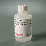 RIPA Lysis and Extraction Buffer / 100 mL