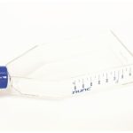 T175 EasYFlask, TC Surface, Solid Cap 30/pkg
