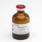 Hygromycin B 20 ml   # 50540