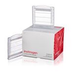 Novex™ 14% Tris-Glycine Mini Gels, WedgeWell™ format, 15-we