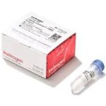 Lipofectamine 2000 Reagent 1.5 ml