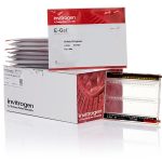 E-GEL 48 4% AGAROSE(HP) 8 PAK