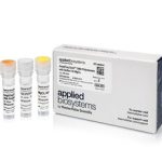 AmpliTaq Gold® DNA Polymerase with Buffer II and MgCl2/ 250