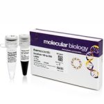 Generuler 100bp dna ladder/50 µg