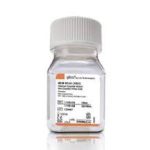 MEM Non-Essential Amino Acids Solution (100X) 100ml
