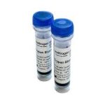 Trypan blue stain 0.4% *for use with the Countess™ automate