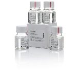 UltraPure Edta Buffer- Ph 8- 0.5M 4x100ml