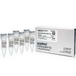 High Capacity RNA-to-cDNA Kit/500rnx