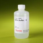 RIPA Lysis and Extraction Buffer/ 250 ml