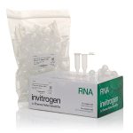 Elution Tubes (2 ml) 100 tubes / PC