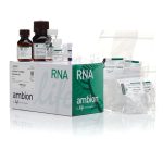 mirVana miRNA Iso Kit 10-40 (AM9720+AM1560-4)