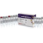 RevertAid First Strand cDNA Synthesis Kit / 100 reactions