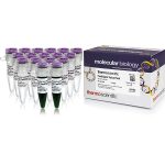 Fastdigest value pack (13 enzymes)