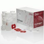 PureLink™ HiPure Plasmid Midiprep Kit 50 reactions