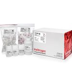Purelink Pcr Purification Kit 50 columns