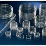 TC Dish 100x20. 240/pkg