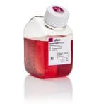 Advanced D-Mem/F-12 / 500ml- plastic- e-z hold