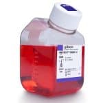 דחוימ ריחמ Knockout ™ Dmem/F-12 / 500ml