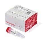 במ ריחמ/Lipofectamine Rnaimax transfection Reagent / 0.75 ml