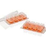 Lab-Tek 4-well slide chamber/non removable wells,No-1(8/pkg