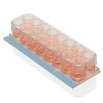 LabTek chamber slide 16w removable,Soda Lime Glass8/pkg