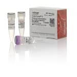 Superscript Ii Reverse Transcriptase / 10000 un