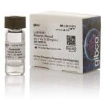 דחוימ ריחמ Laminin Mouse Protein, Natural / 1mg